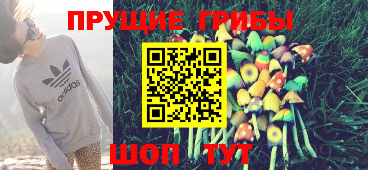 Уварово  Галлюциногенные грибы Psilocybe  Псилоцибиновые грибы MAGIC MUSHROOMS  Вход с VPN 